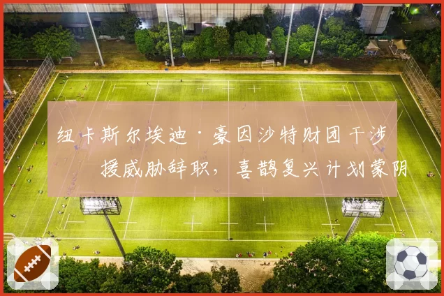 纽卡斯尔埃迪·豪因沙特财团干涉引援威胁辞职,喜鹊复兴计划蒙阴影
