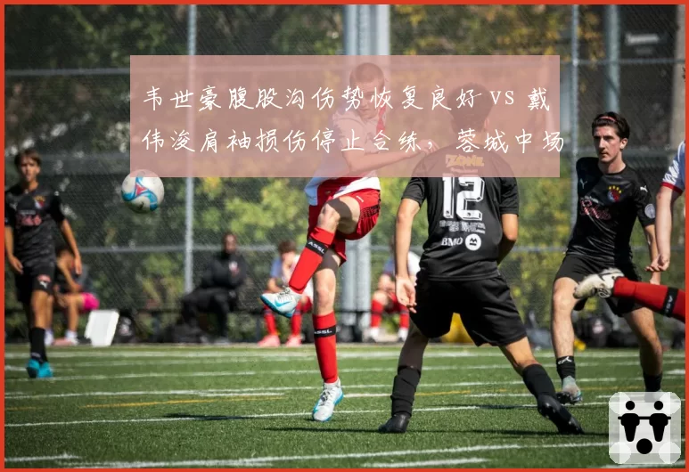 韦世豪腹股沟伤势恢复良好 vs 戴伟浚肩袖损伤停止合练，蓉城中场伤员境遇迥异