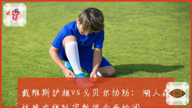 戴维斯护框vs戈贝尔协防:湖人森林狼内线防守数据全面检阅