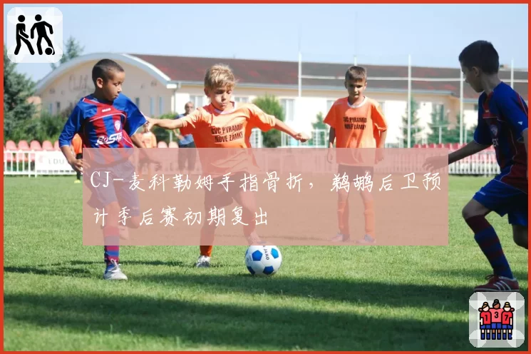 CJ-麦科勒姆手指骨折，鹈鹕后卫预计季后赛初期复出